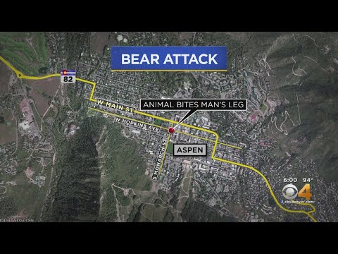 Aspen Sees Third Bear Attack This Year