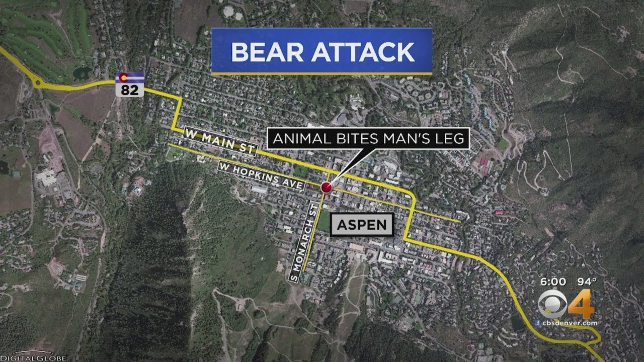Aspen Sees Third Bear Attack This Year