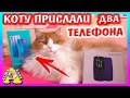 КОТУ ПРИСЛАЛИ ДВА ТЕЛЕФОНА / РАСПАКОВКА ОГРОМНОЙ ПОСЫЛКИ / Alisa Easy Pets