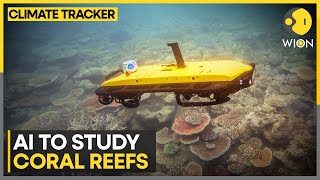 Australian marine scientists using underwater drones to study coral reefs | WION Climate Tracker