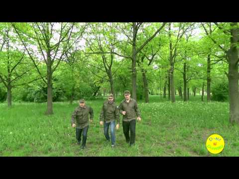 Treceti Batalioane Romane... | 3 Soldați - Lungu, Sandu și Dumitru