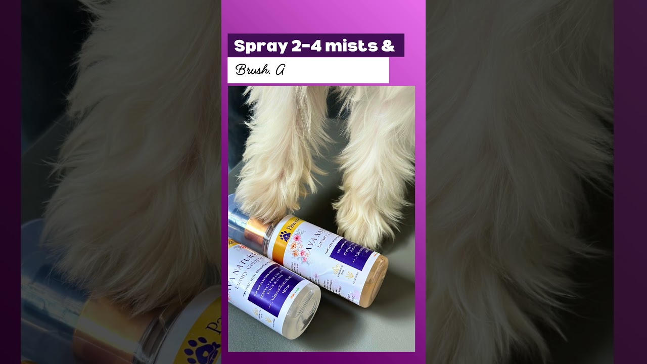 Ava Naturals Luxury Cologne for Pets | Natural, Safe & Long-Lasting Fragrance by PawsnCollars