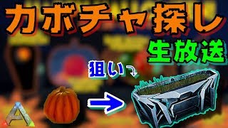 【ARKモバイル】カボチャ探し！！TEK餌箱を狙う！！1時間マルチにも入ったよ！