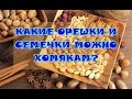 КАКИЕ ОРЕШКИ И СЕМЕЧКИ МОЖНО ДАВАТЬ ХОМЯКАМ? | ПИТАНИЕ ХОМЯКОВ 🐹