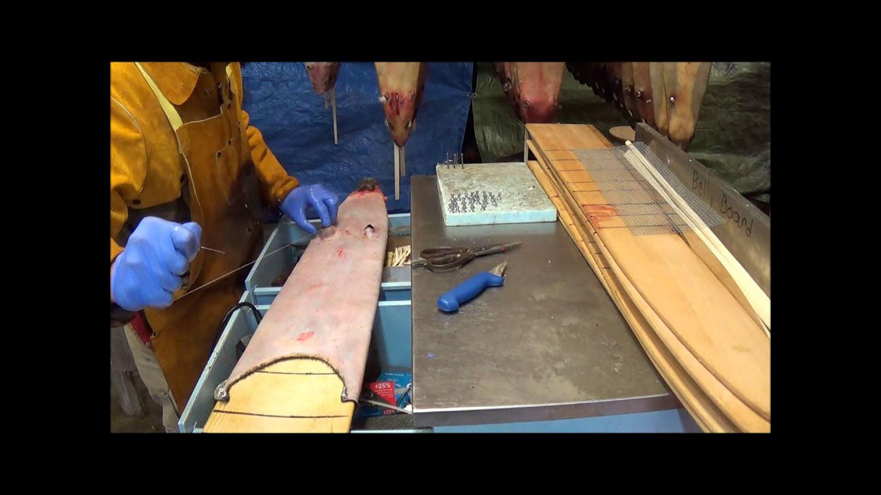 Professional Fur Handling, Otter -Part 3 Boarding