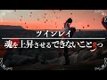本物のツインレイと出会う。自分の魂が深く欲求するもの