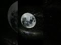 部屋が一瞬で“星空”になるライト、買ってよかった#ナイトライト #星空ライト #彼氏彼女 #誕生日プレゼント #プレゼント