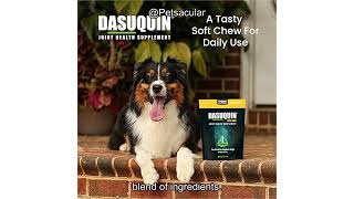 Nutramax Dasuquin with MSM Review: Is It Worth the Price for Your Dog's Joint Health