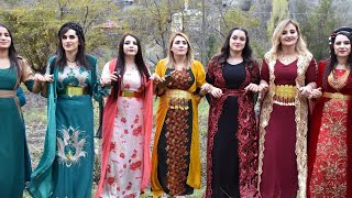 Şerwan / Yan Mırın Yan Diyarbekir / Rusya Düğünü / Yeni