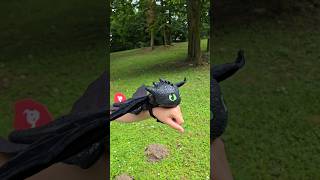 How to Train your Dragon live action movie Hug and Glide Toothless🖤