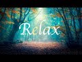 Relaxing Piano Music - Deep Sleeping Music - BackGround Music For Sleep, Study, Work