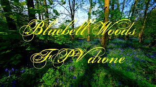 Bluebell Woods FPV drone flight with Camera Obscura