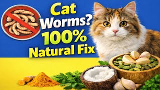 How to Get Rid of Worms in Cats Naturally (Proven Methods)