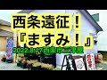 西条遠征!【ますみ】に行きました。(西条市三津屋)愛媛の濃い〜ラーメンおじさん(2022.8.17県内608店舗目)