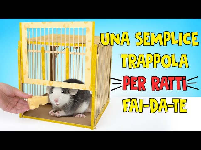 🧀🐀 Una semplice trappola per ratti fai-da-te di cartone 