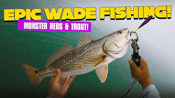 Epic Wade Fishing Adventure – Monster Trout & Reds at Port Mansfield!