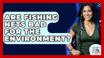 Are Fishing Nets Bad For The Environment? - Chasing Big Fish