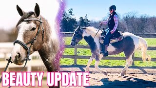 Riding My New Mare Bitless For The First Time! How Will She Respond?