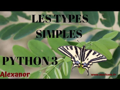 Programmation Python #3  - les types simples