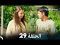 سيدة القرية الحلقة 29  