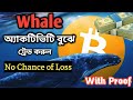 Buy Sell Strategy According to Whale | Never Loss in Crypto Trading | How to Accumulate with whale