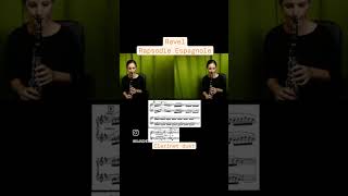 Ravel Rapsodie Espagnole - #clarinet duet #classicalmusic