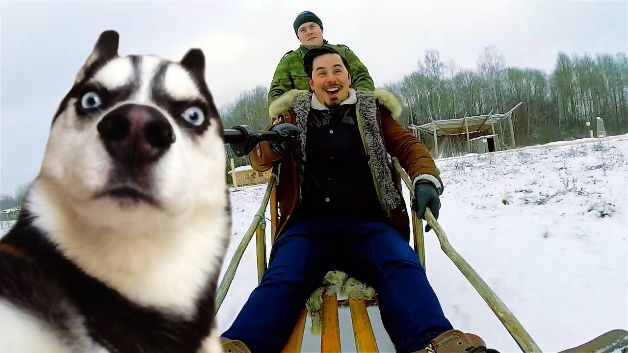 Как сэкономить мобильный интернет/трафик? мобильный телефон без камеры