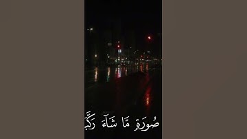 قران كريم #اكسبلور #دويتو #duet #تيك_توك #حالات_واتس #لايك #الصلاة_على_النبي