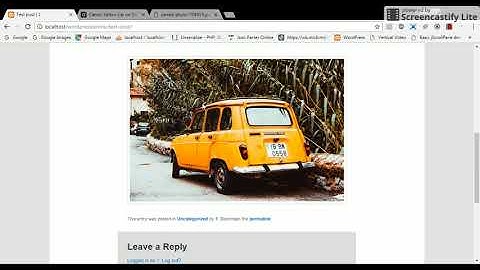 Download External Images In Posts - Demo (WordPress plugin)