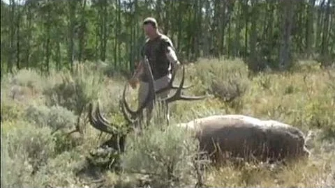 Rifle Elk Hunt 391" B&C - MossBack