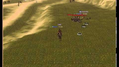 Bot raccogli yang in Metin2.it