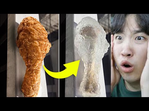 정말 레전드로 신기한 영상을 봤습니다 ㅋㅋㅋㅋㅋㅋㅋㅋㅋㅋㅋㅋ