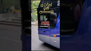 japan bus vs llanka bus #bus #sl #modify