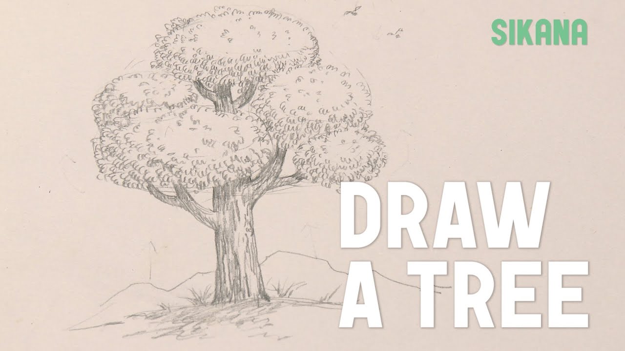 Draw a tree YouTube