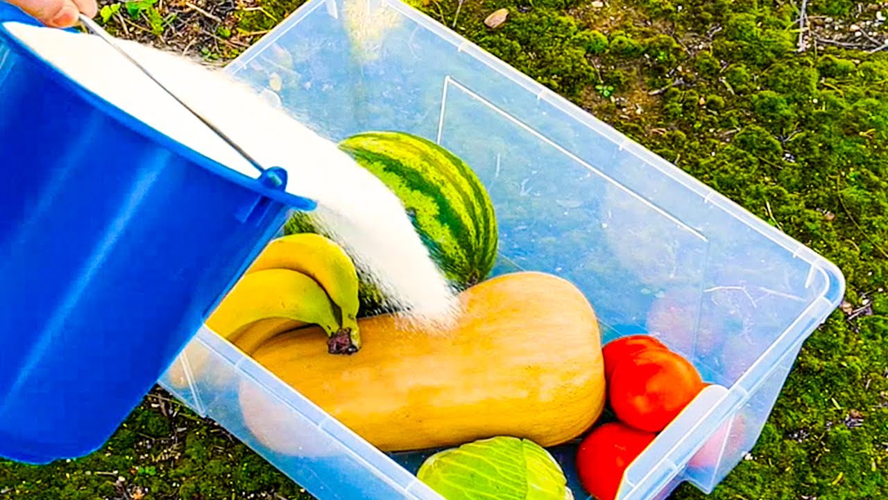 31 VOEDSELHACKS OM U GELD EN GEDOE TE BESPAREN || HOE U VOEDSEL LANGER KUNT BEWAREN