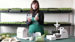 KUVINGS - Extractor Vertical de Jugos Comercial (Cold Press)