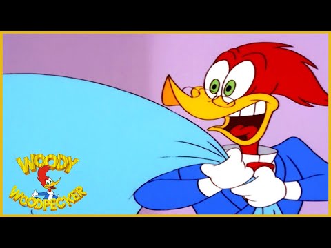 Woody Woodpecker Show | 1 Hour Compilation | Cartoons For Children