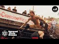 Taking american hardcore wrestling to the people  squared circle dreams s1 e2
