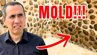 Bathroom Remodel Mistakes I Made 20 Years Ago (Don't Do This) Net Worth