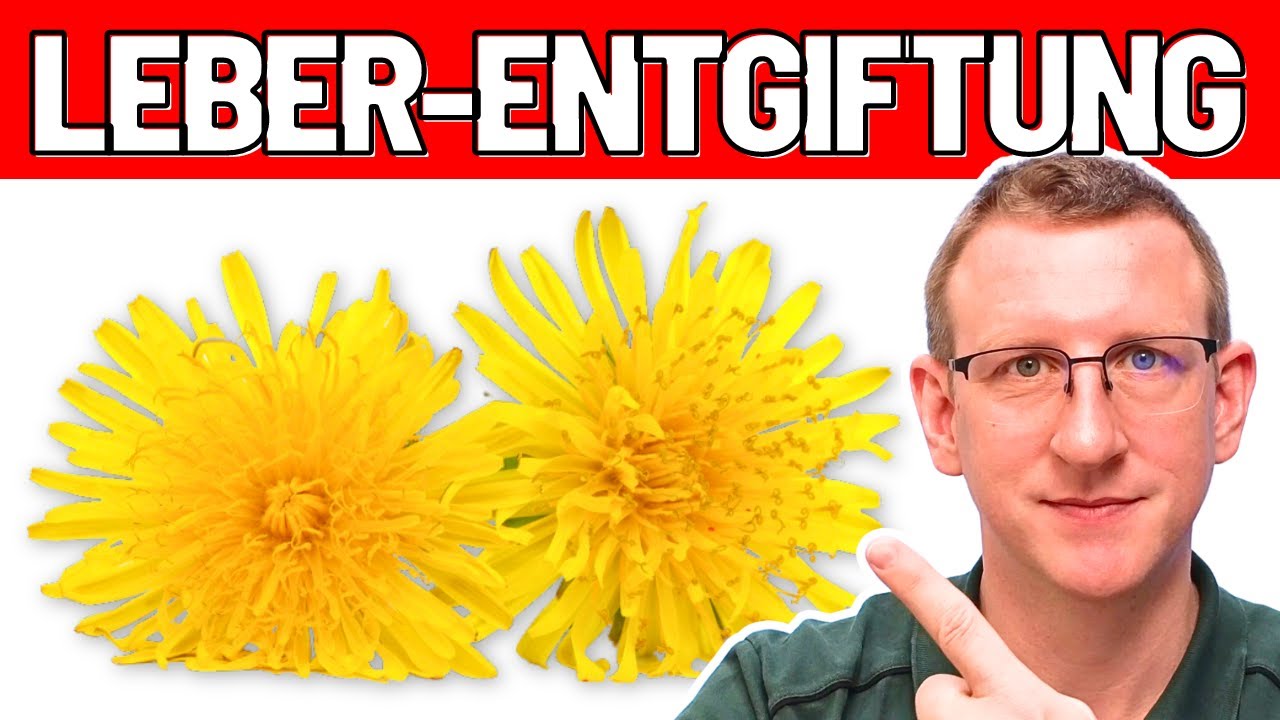 Leber Entgiftung -  die 3 BESTEN Nahrungsergänzungsmittel!