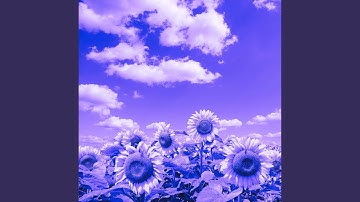 Pulsating Backdrops for Sunday Working