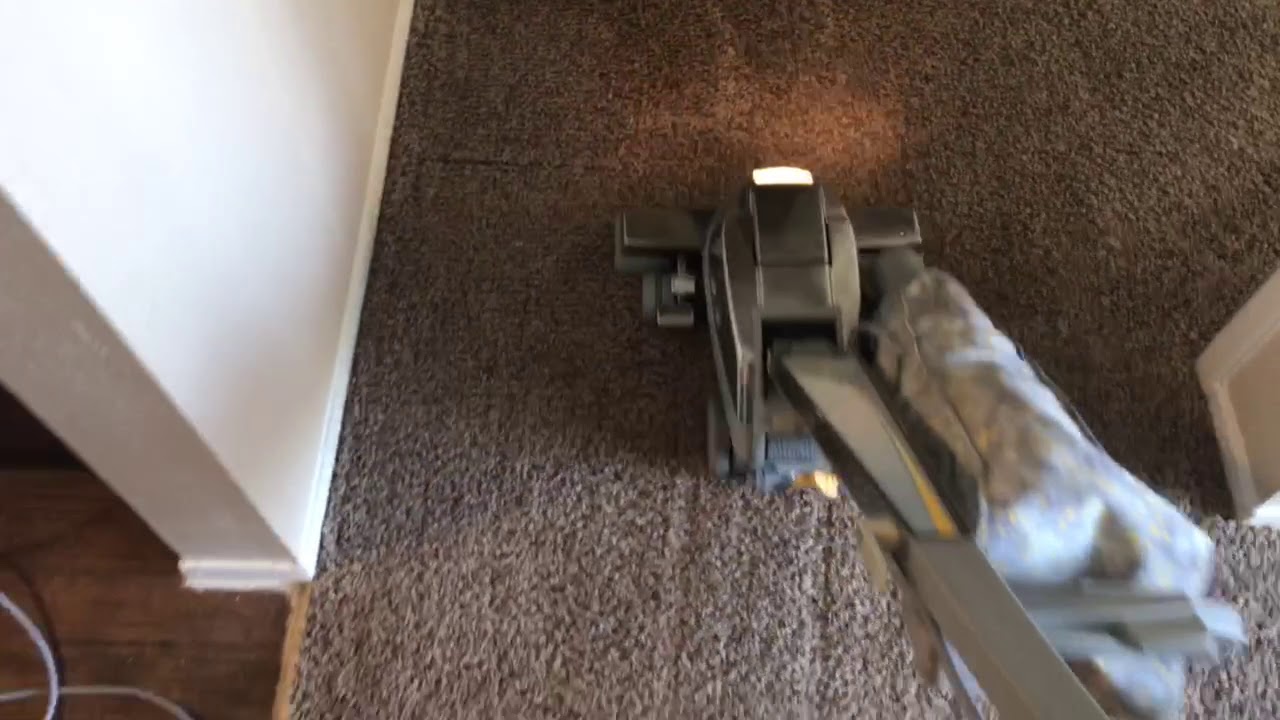 Daily vacuuming with the ultimate G YouTube