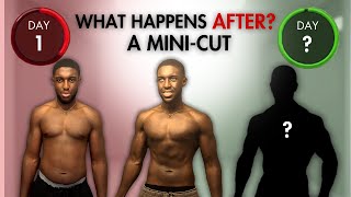 What I Did After A 10 Day Mini Cut