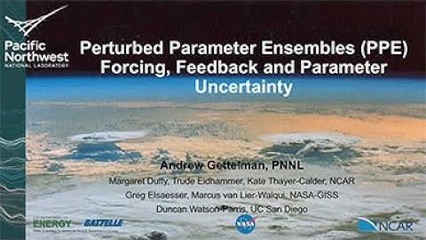 Perturbed Parameter Ensembles (PPE) Forcing, Feedback and Parameter Uncertainty