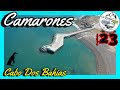 🐧PINGUINERA🐧 Cabo Dos Bahías- CAMARONES🏖--Chubut--