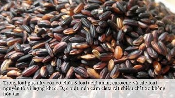 Công Dụng Của Nếp cẩm: "Thuốc" trị huyết áp cao hiệu nghiệm không tác dụng phụ