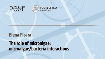 The role of microalgae: microalgae/bacteria interactions (E. Ficara)