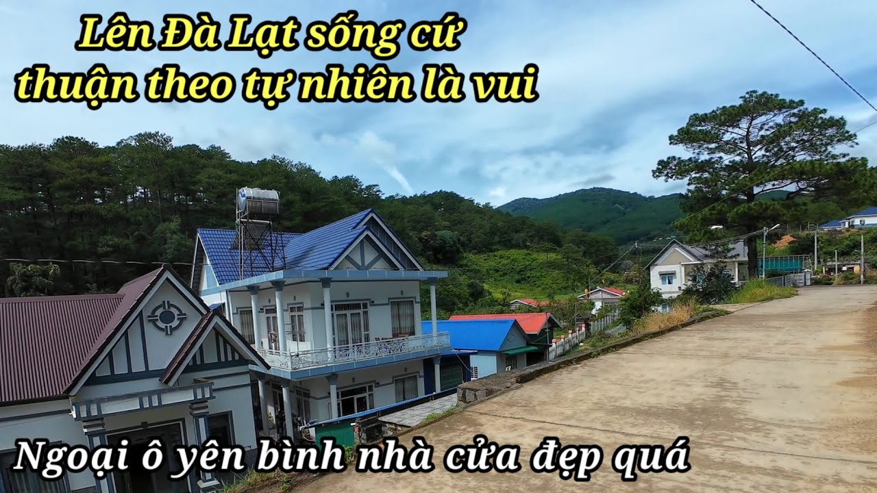 Lên Đà Lạt sống cứ thuận theo tự nhiên nắng mưa gì cũng vui. Ngoại ô nhà cửa đẹp