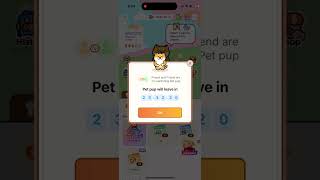 Widgetable pet running away - what does it mean?