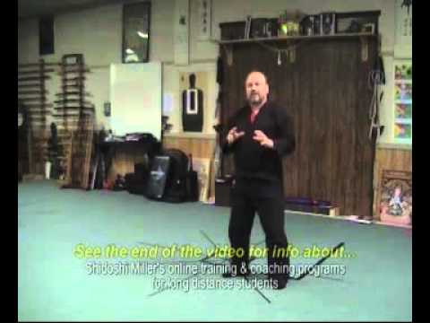 Ninjutsu Technique - Skill Progression Example in Ninpo-Taijutsu (part ...